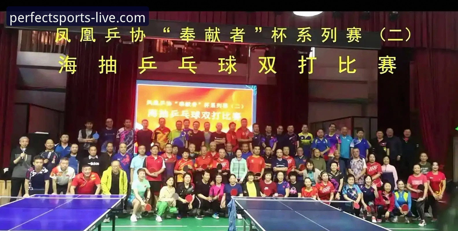 中国男乒世锦赛小组赛技术细节深度解析——完美体育官方v3.0.2版本赛事回放体验
